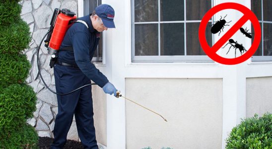 Yusufeli Bit İlaçlama böcek ilaçlama ve haşere kontrolü — ilaclama-tr.com